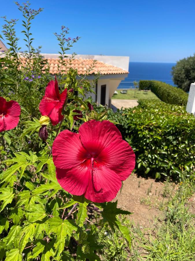 Villa Sofia *Luxury Experience In Calabria Zambrone Exterior photo