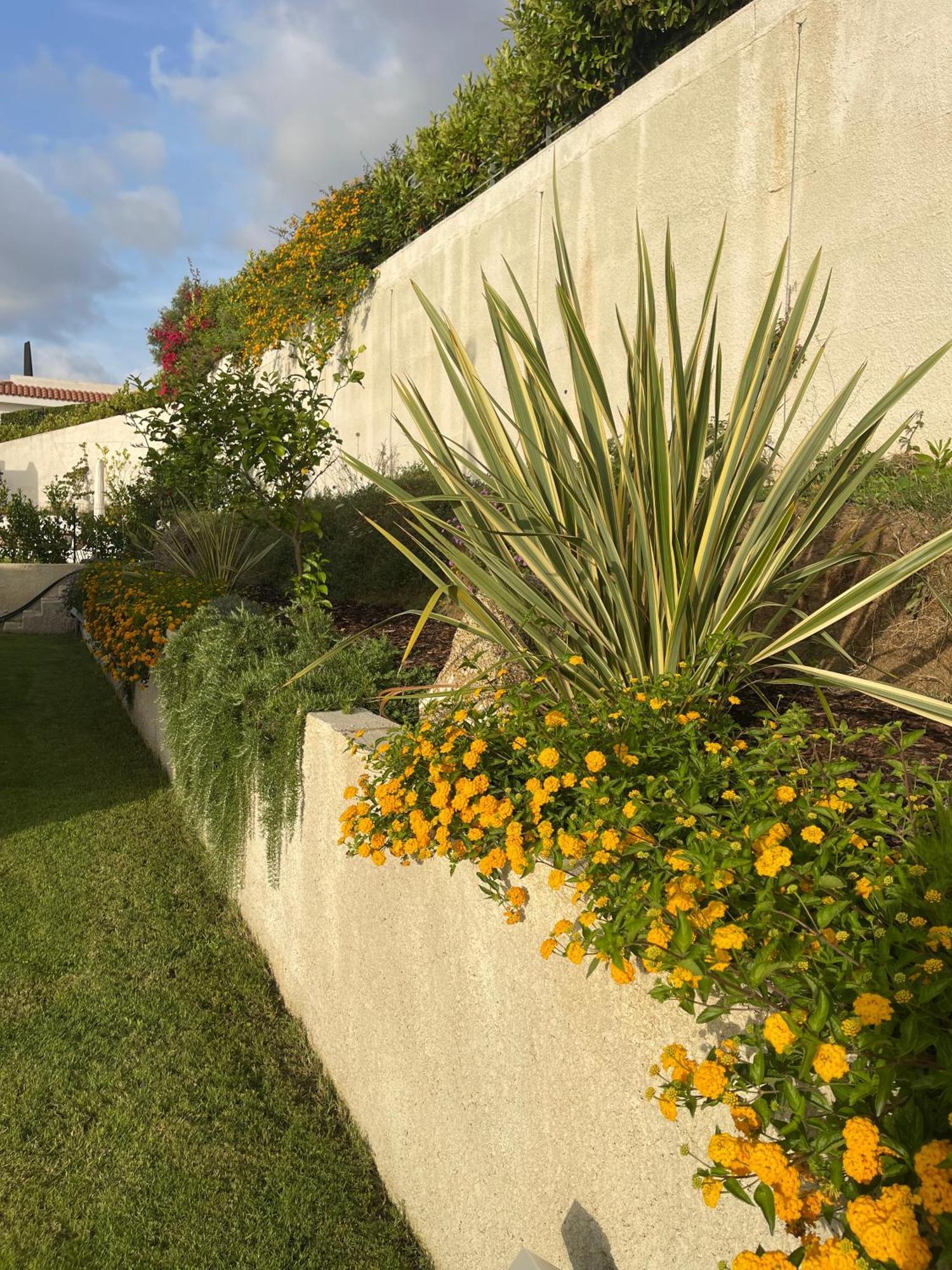 Villa Sofia *Luxury Experience In Calabria Zambrone Exterior photo